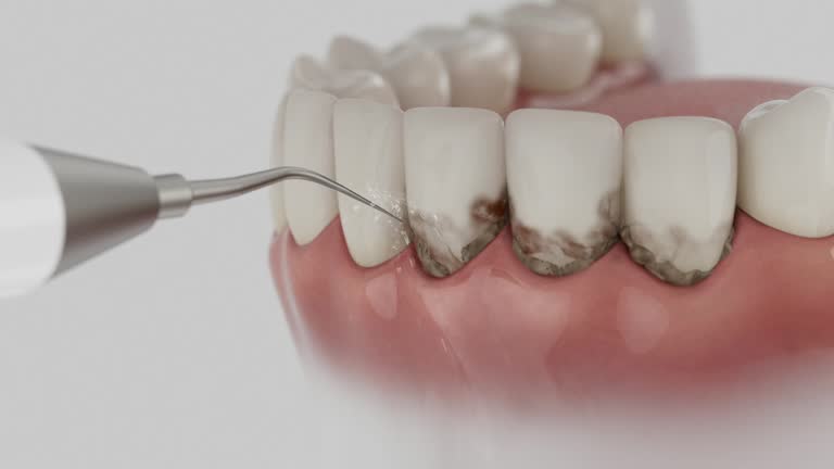 Reliable Dental contractor in Mansfield, OH by Dentist Open Now